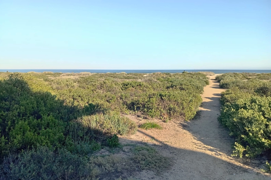 0 Bedroom Property for Sale in Dwarskersbos Western Cape